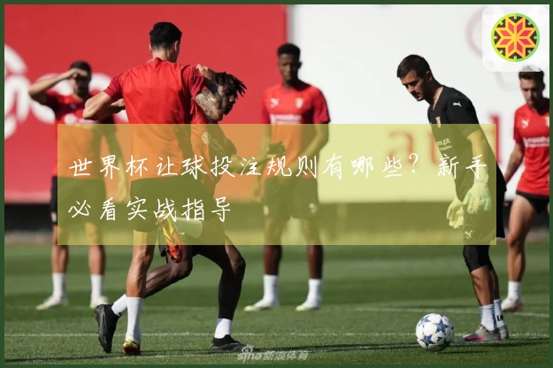 世界杯让球投注规则有哪些？新手必看实战指导