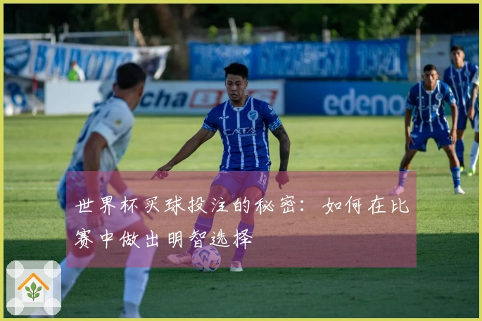 世界杯买球投注的秘密：如何在比赛中做出明智选择