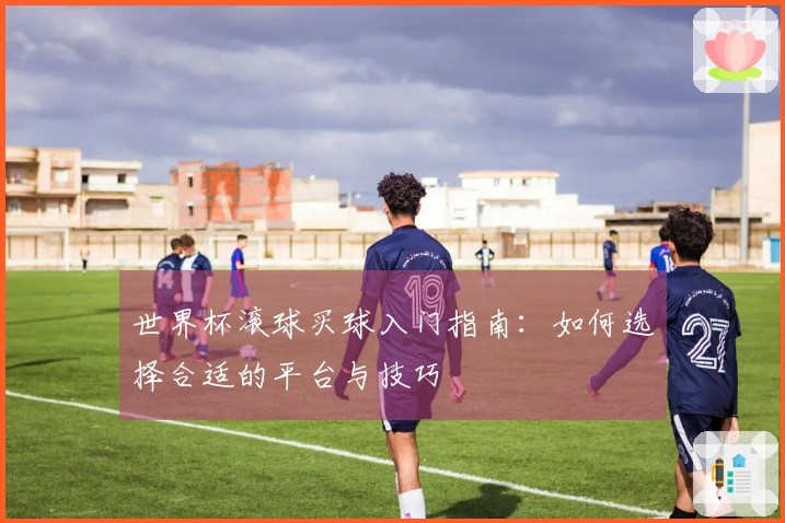 世界杯滚球买球入门指南：如何选择合适的平台与技巧
