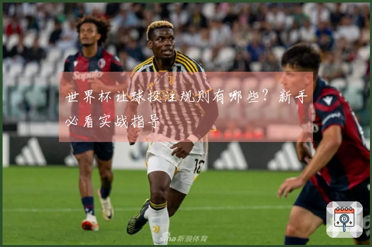 世界杯让球投注规则有哪些？新手必看实战指导